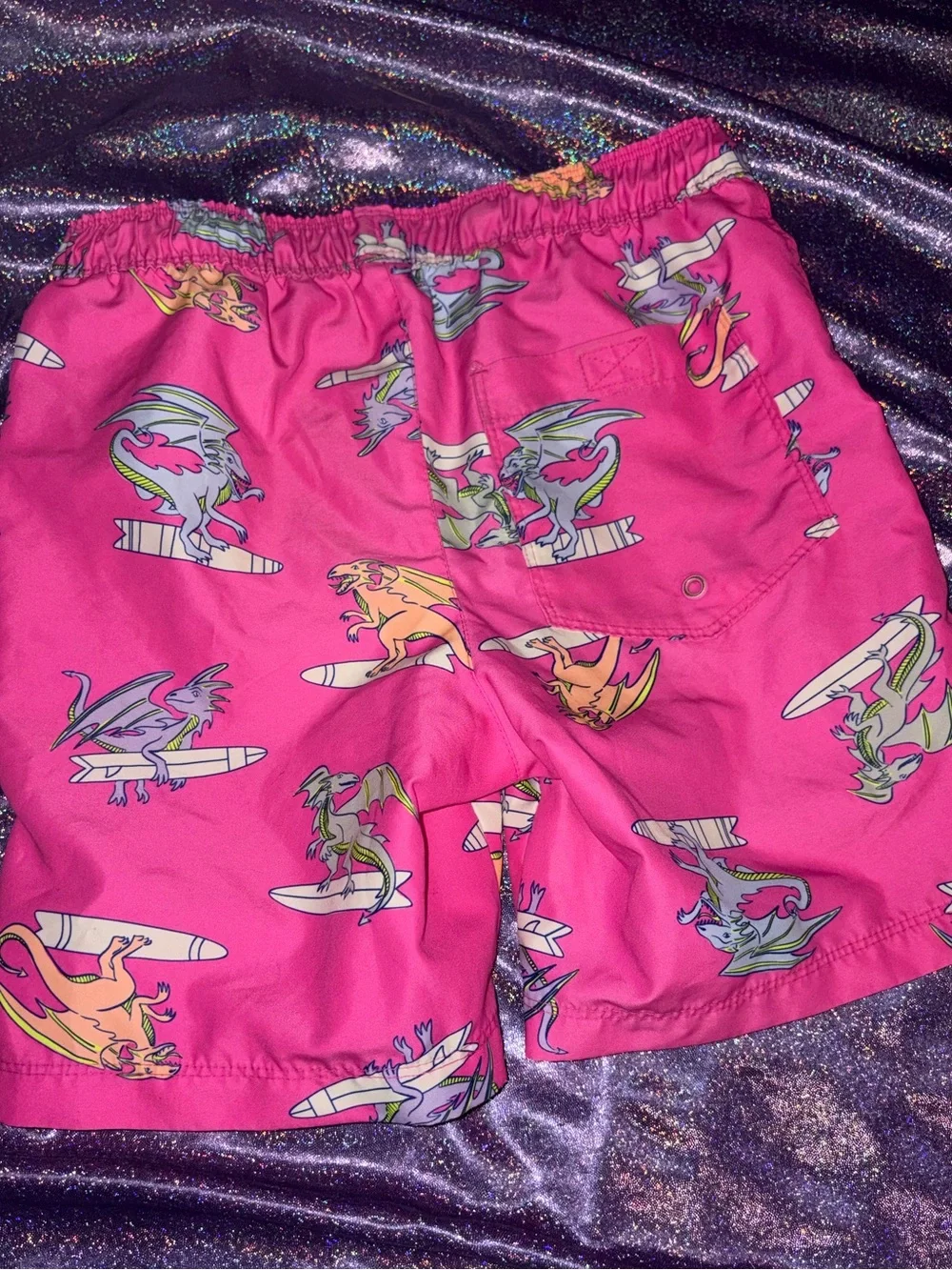 Boys Cat & Jack Dragon Swim Shorts